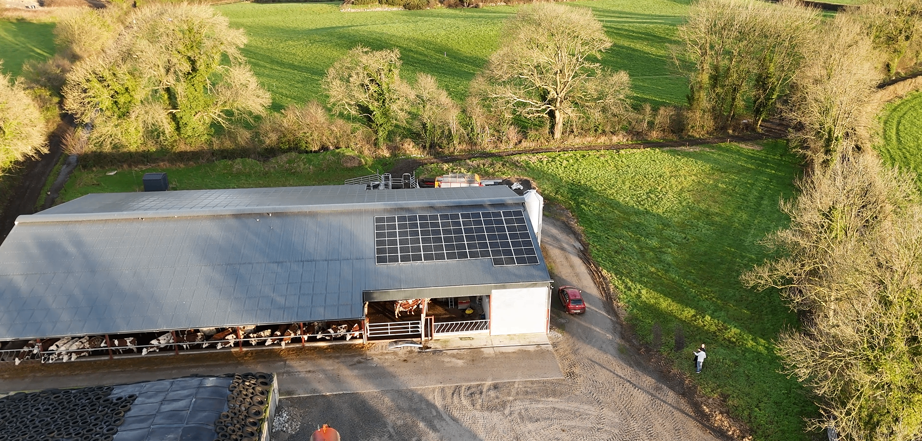Cattle Farm Array