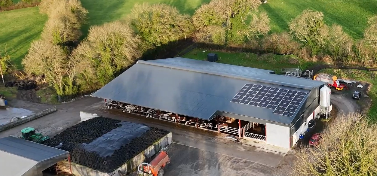 Dairy Operation